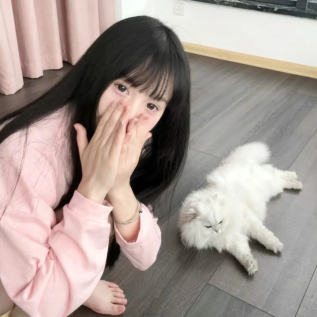 蒙提·派森和圣杯